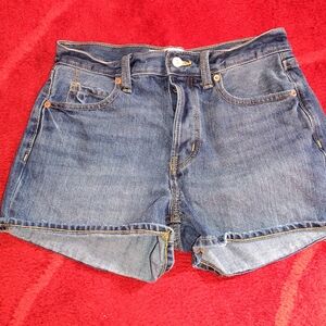 Zara Blue Denim Button Fly Jean Shorts Sz 8